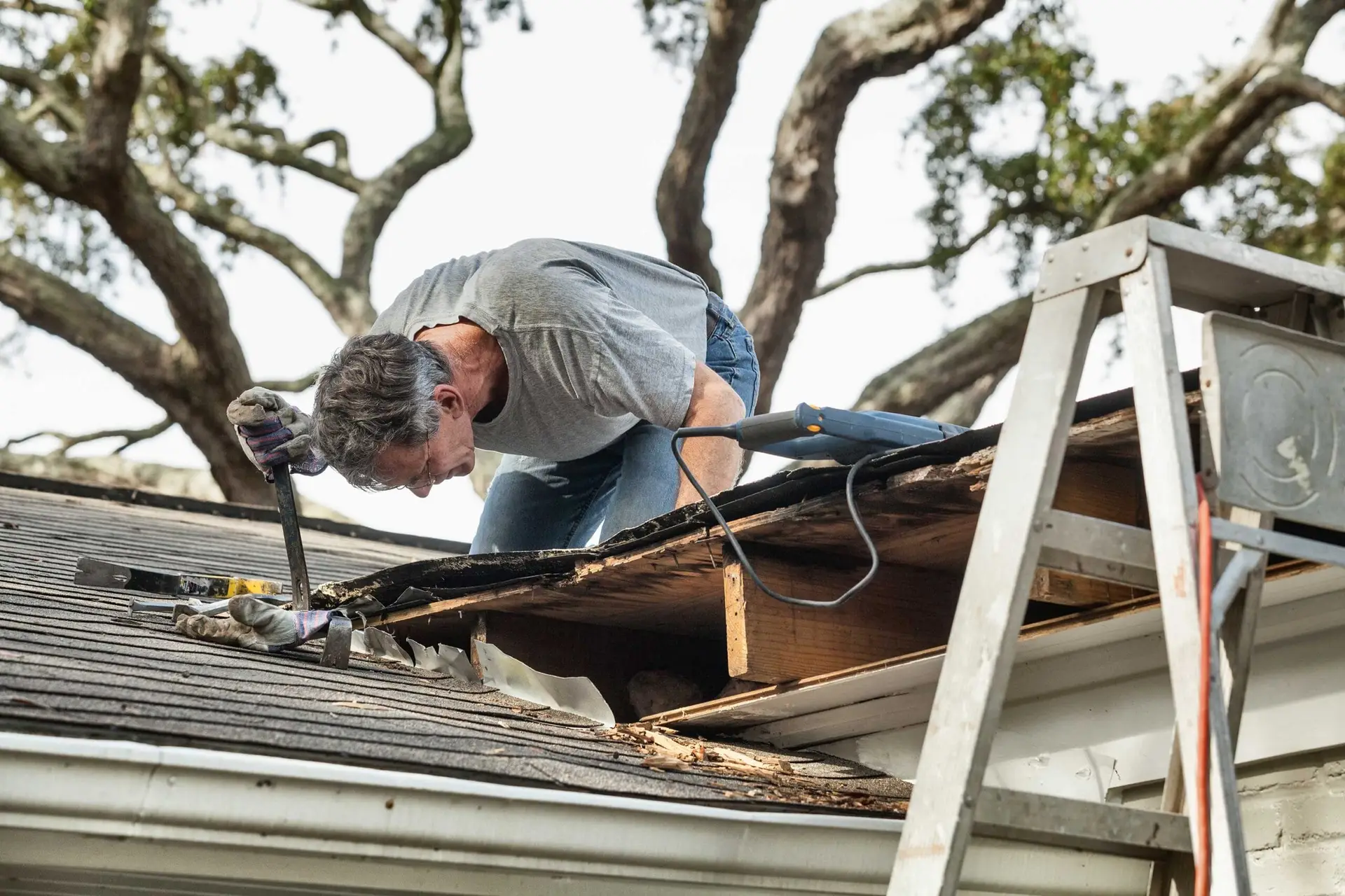 roof storm damage, storm damage roof repair, Hollywood