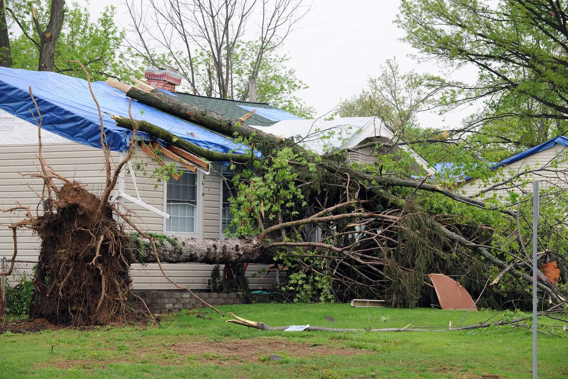 Protecting Your Home: 5 Steps to Take When Storms Damage Your Roof in Hollywood roof storm damage, storm damage roof repair