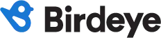birdeye logo