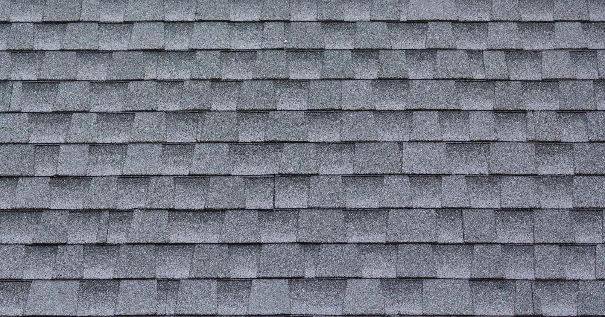 5 Critical Warning Signs Your Asphalt Shingle Roof is Failing (And What to Do Next)