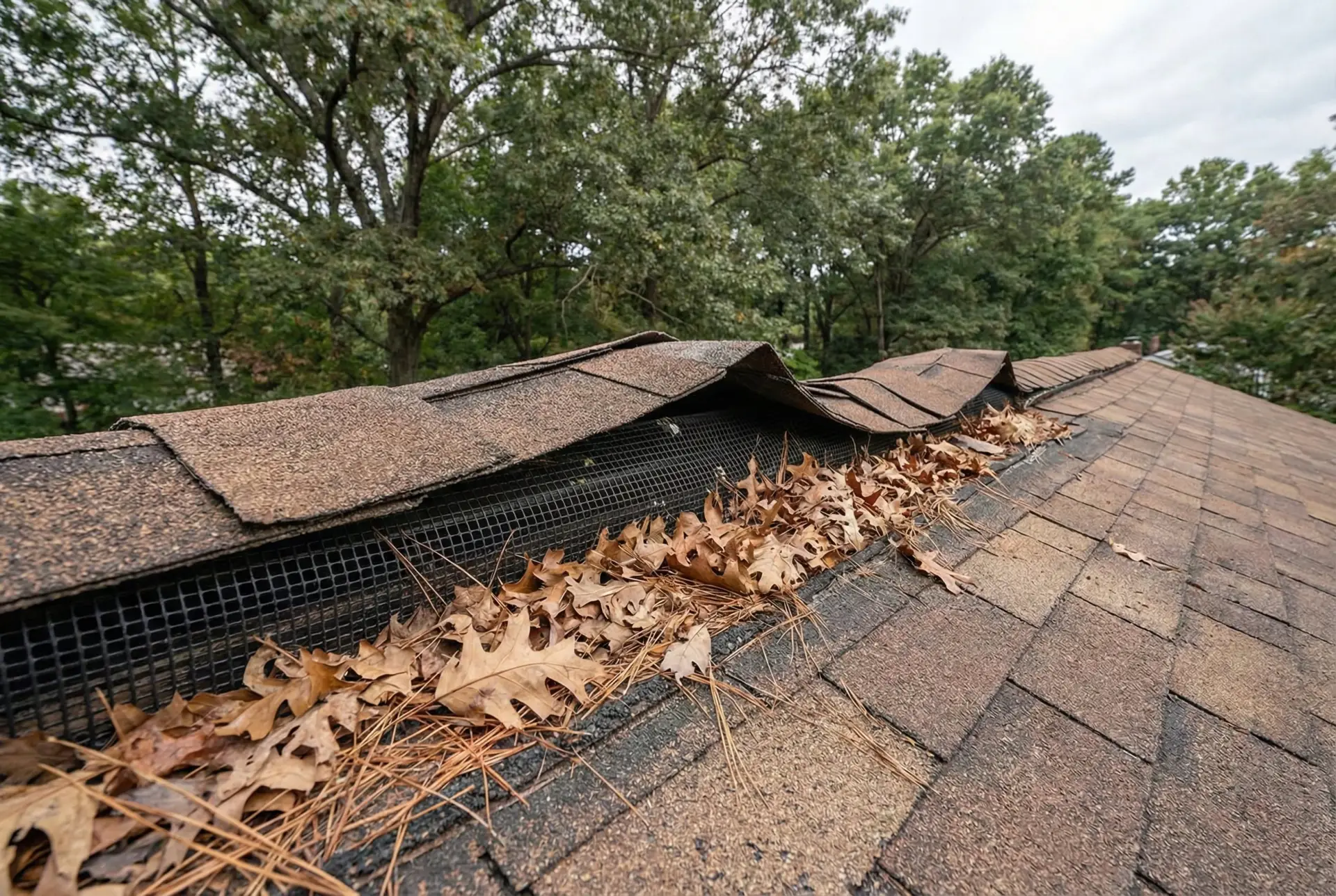 JDH Remodeling close-up of a Severna Park area roof edge gutter system with shingle wear and autumn debris documented during a HAAG inspection visit