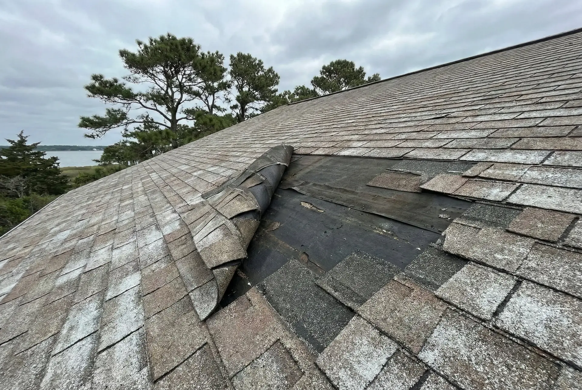 Wind-lifted shingles on a Chesapeake Beach Maryland roof with exposed underlayment showing coastal storm and salt air damage